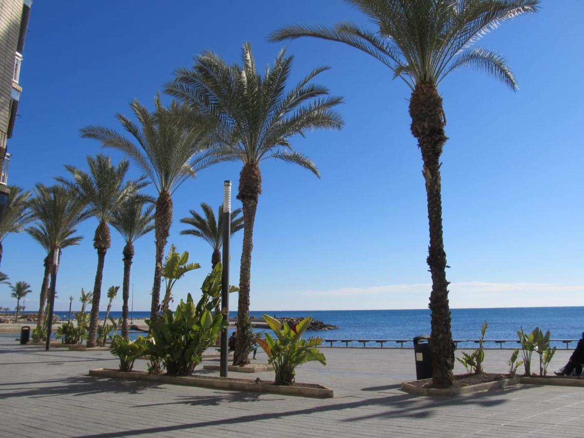 Tango Mango Apartment! Plaza 5 Min, Basen! Torrevieja Exteriör bild