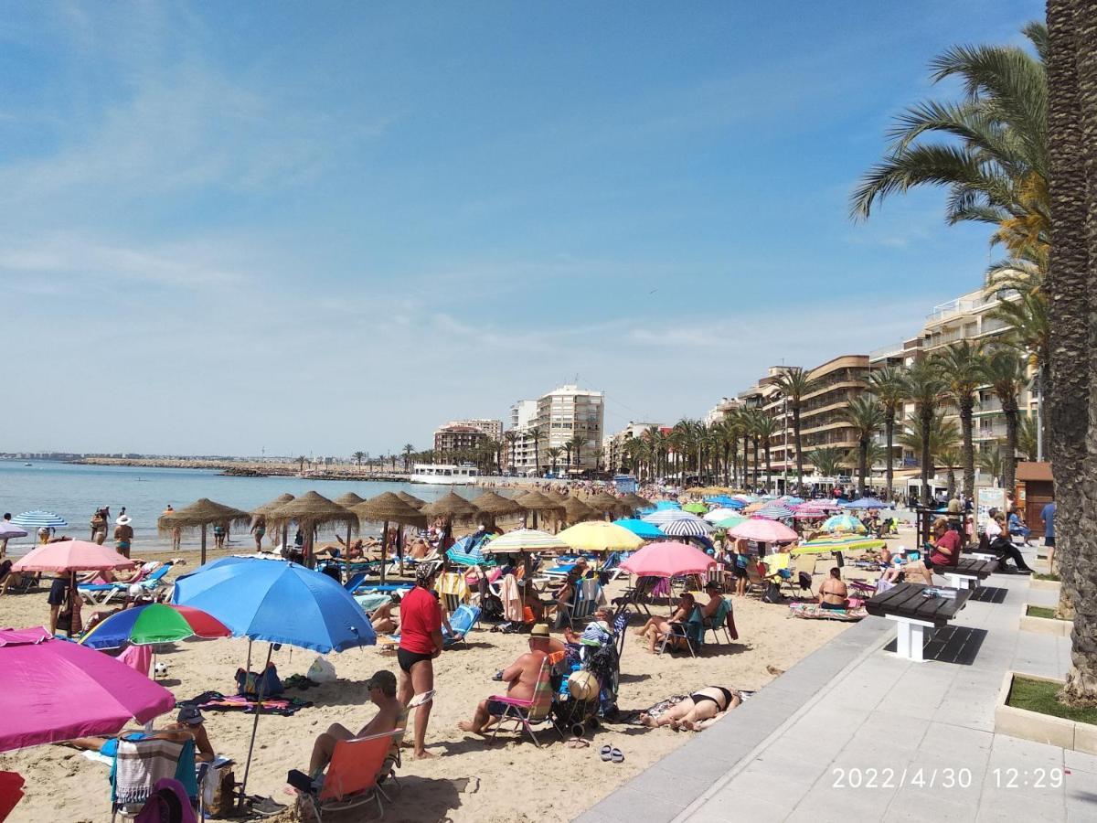Tango Mango Apartment! Plaza 5 Min, Basen! Torrevieja Exteriör bild