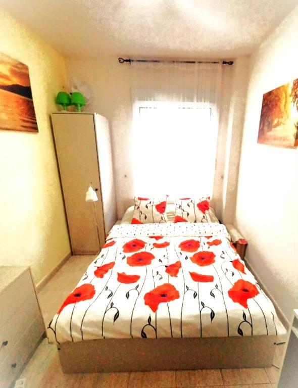 Tango Mango Apartment! Plaza 5 Min, Basen! Torrevieja Exteriör bild